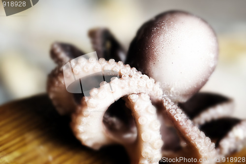 Image of Seafood