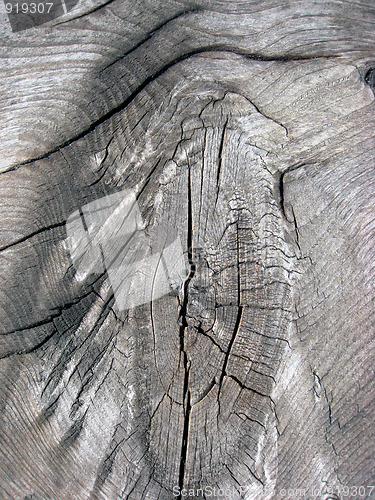 Image of Texture of fence weathered wood
