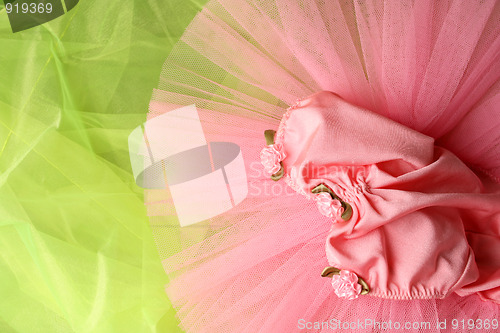 Image of Ballet Costume