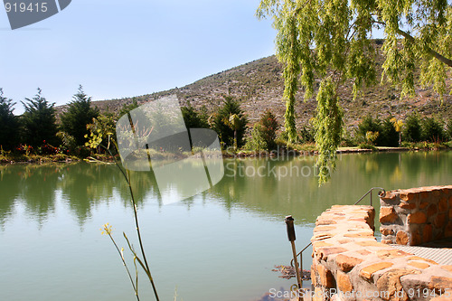 Image of Dam at olive farm