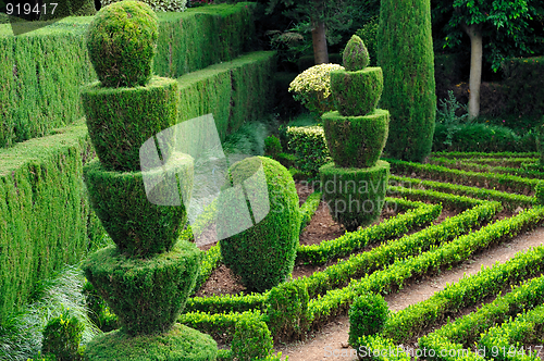 Image of Decorative green park – Botanical garden Funchal, Madeira