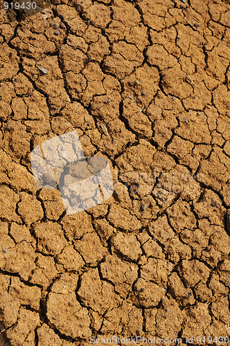 Image of Cracked dry ground texture