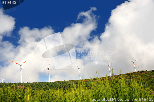 Image of Eolic turbines –Paul de Serra, Madeira