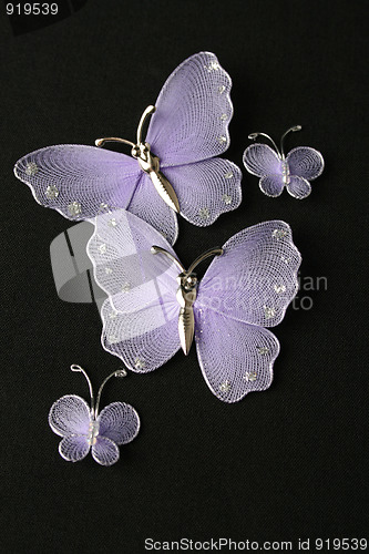 Image of Purple Butterflies