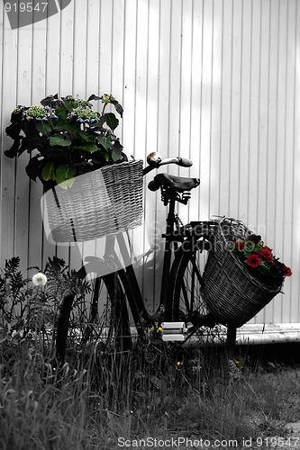 Image of Romantic bicycle