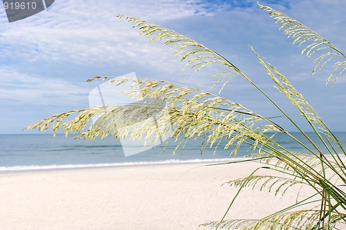 Image of bonita beach in the morning