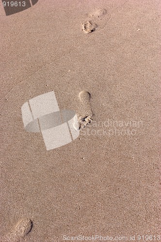 Image of footprints on the beach