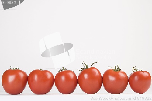 Image of red tomatoes ready for salad, arranged in line