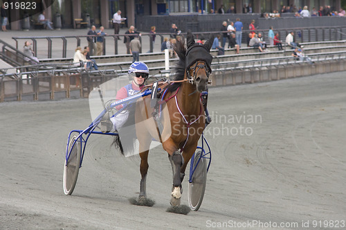 Image of Trotting race