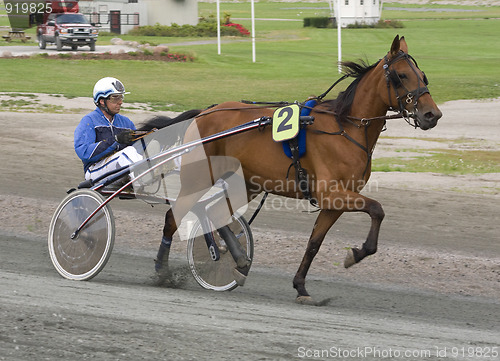 Image of Trotting race