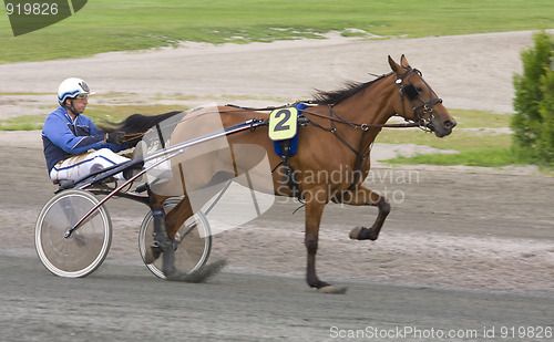 Image of Trotting race