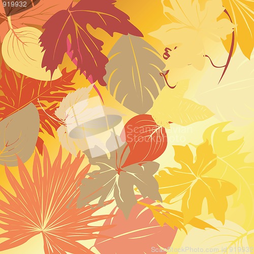 Image of Autumn leaves background