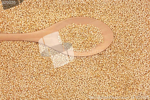 Image of Quinoa Cereal Grains