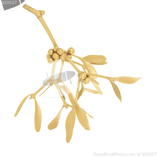 Image of Golden Mistletoe