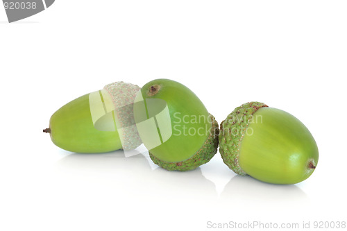 Image of   Acorns