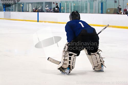 Image of Hockey Goalie