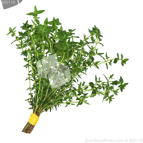 Image of Thyme Herb Posy