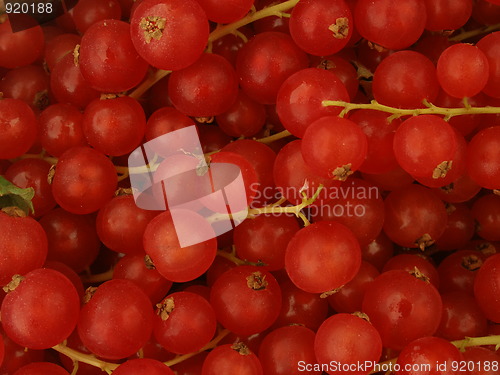 Image of currant