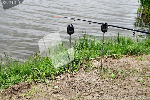 Image of fishing