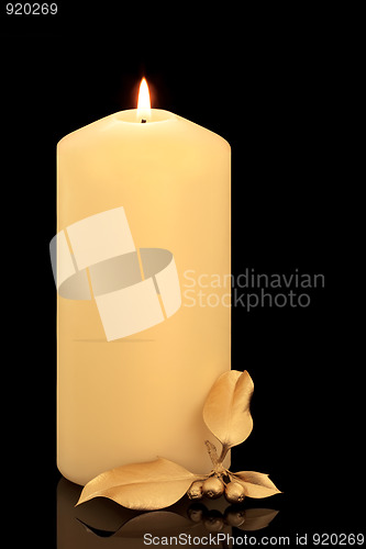 Image of Christmas Candle and Holly