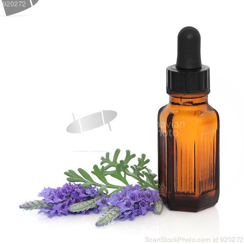 Image of Lavender Herb Flower Therapy