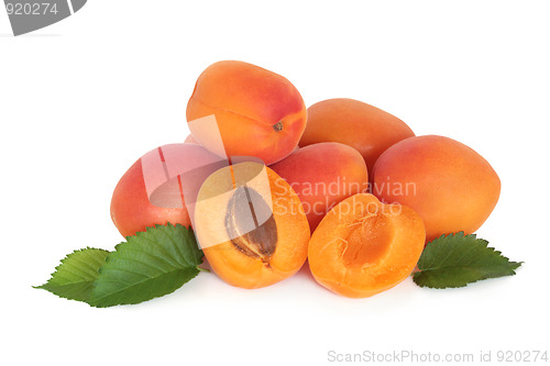 Image of Apricot Fruit