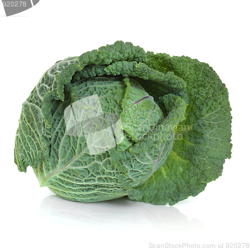 Image of Savoy Cabbage