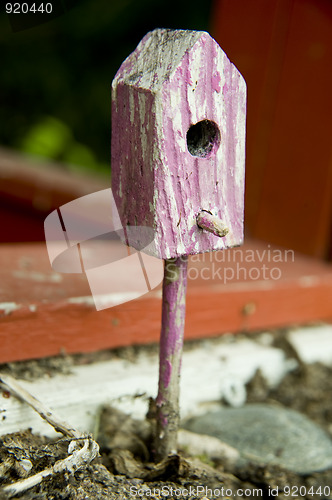 Image of House for birds