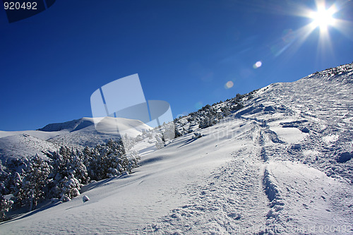 Image of Shining sun in winter mountains