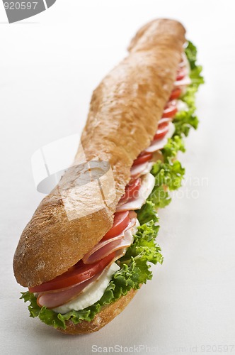 Image of Sandwich