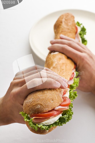 Image of Sandwich