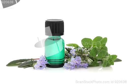 Image of Herb Therapy