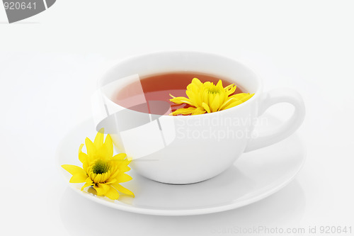 Image of Chrysanthemum Tea