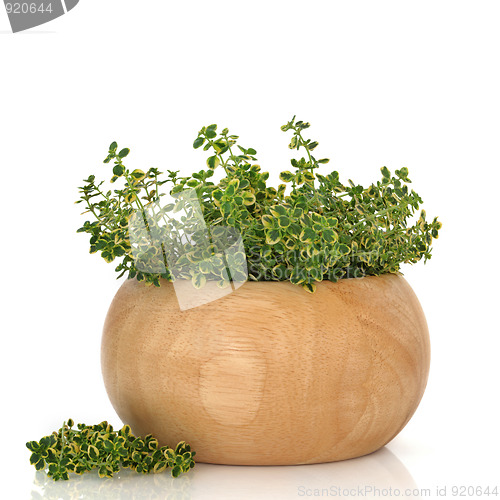 Image of Thyme Herb