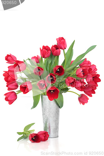 Image of Red Tulip Flowers