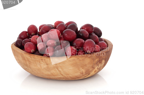 Image of Cranberries