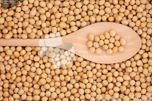 Image of Soya Beans