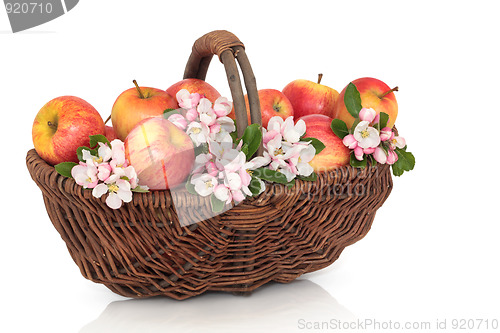 Image of Apple and Blossom Beauty