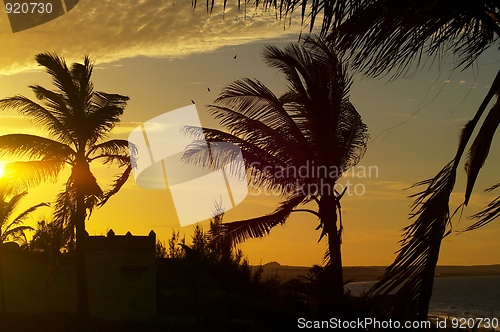 Image of Golden sunset