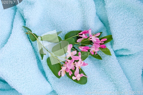 Image of Blue towel_1