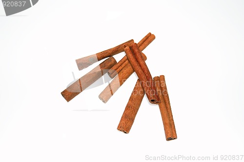 Image of Cinnamon