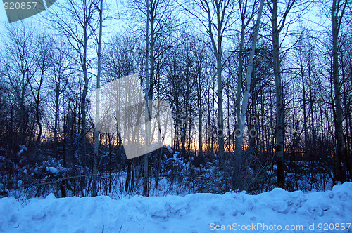 Image of Daybreak
