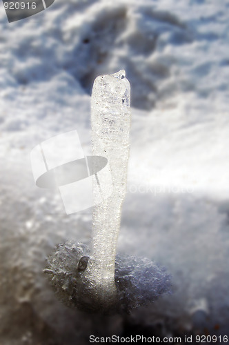 Image of Ice stalagmite