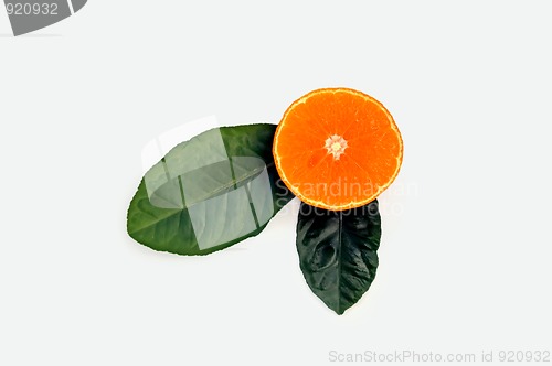 Image of mandarin