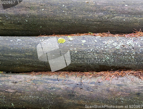 Image of Logs in the woods