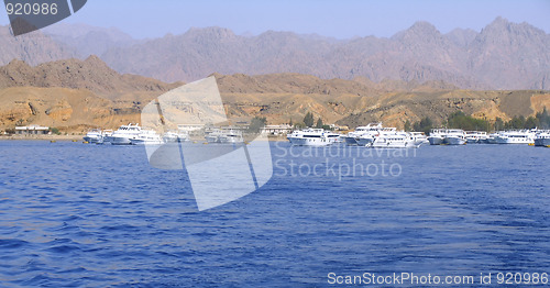 Image of Yachts in Red Sea 
