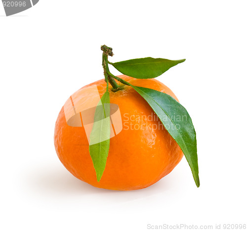Image of Tangerine isolated on white