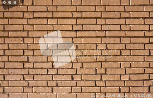 Image of Brick wall