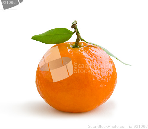 Image of Tangerine isolated on white