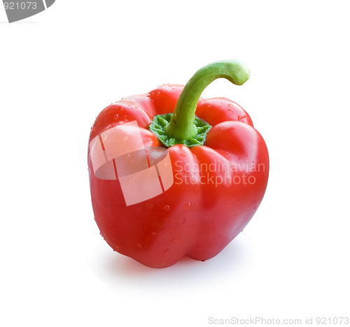 Image of Red sweet pepper